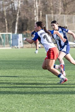 Bild 261 - wBJ Hamburger SV - Hertha BSC : Ergebnis: 2:1